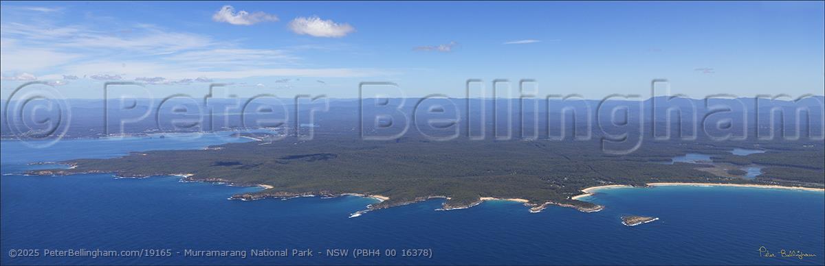 Peter Bellingham Photography Murramarang National Park - NSW (PBH4 00 16378)
